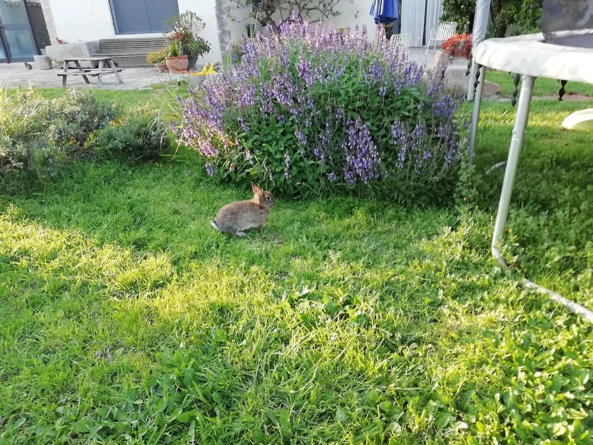 Agroturisme Mas Can Font Ventalló بيت للعطل