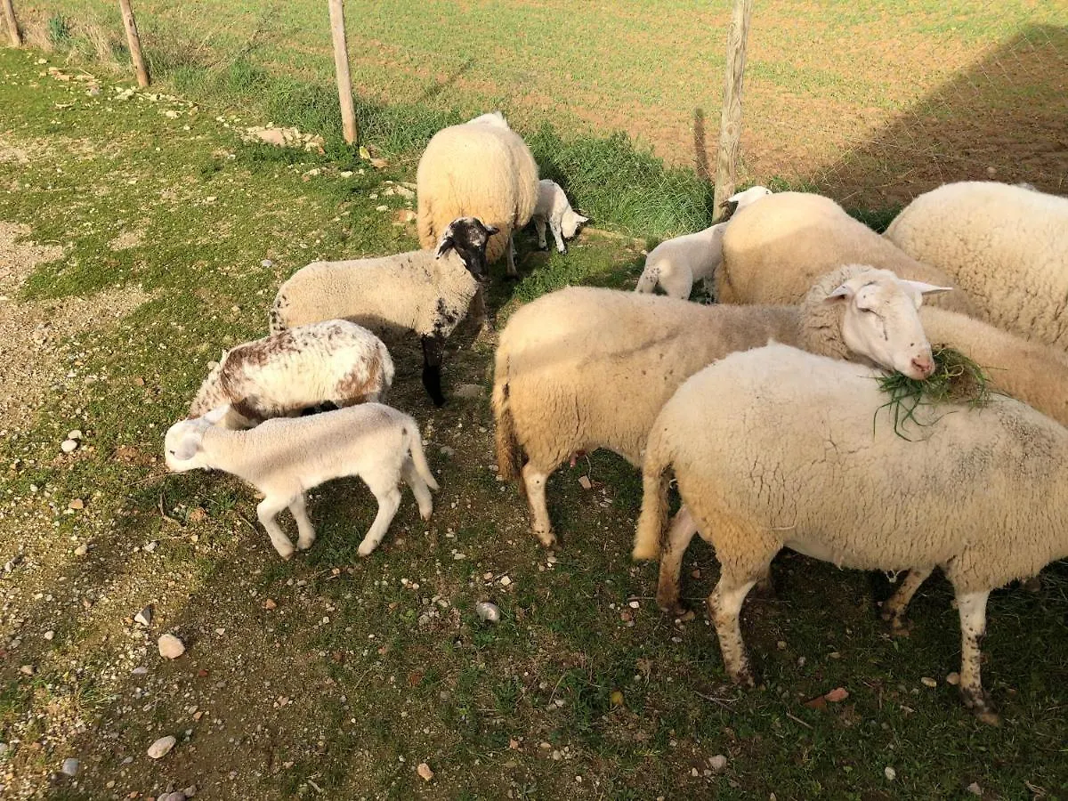 بيت للعطل Agroturisme Mas Can Font Ventalló إسبانيا